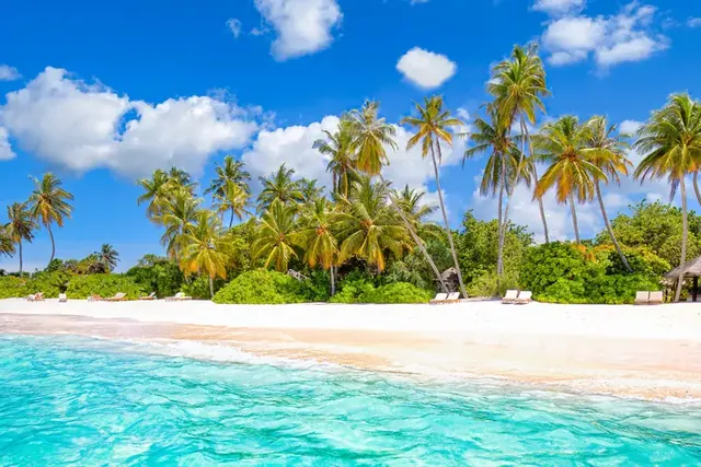 Playa del Caribe con palmeras y agua turquesa