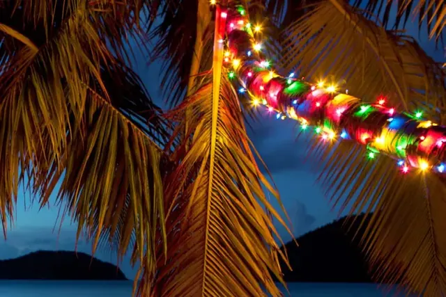 Palmera con luces de Navidad junto al mar